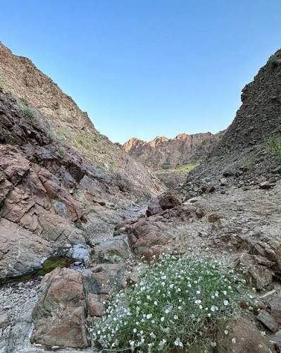 رحلة هايك وتخييم وادي الغونة