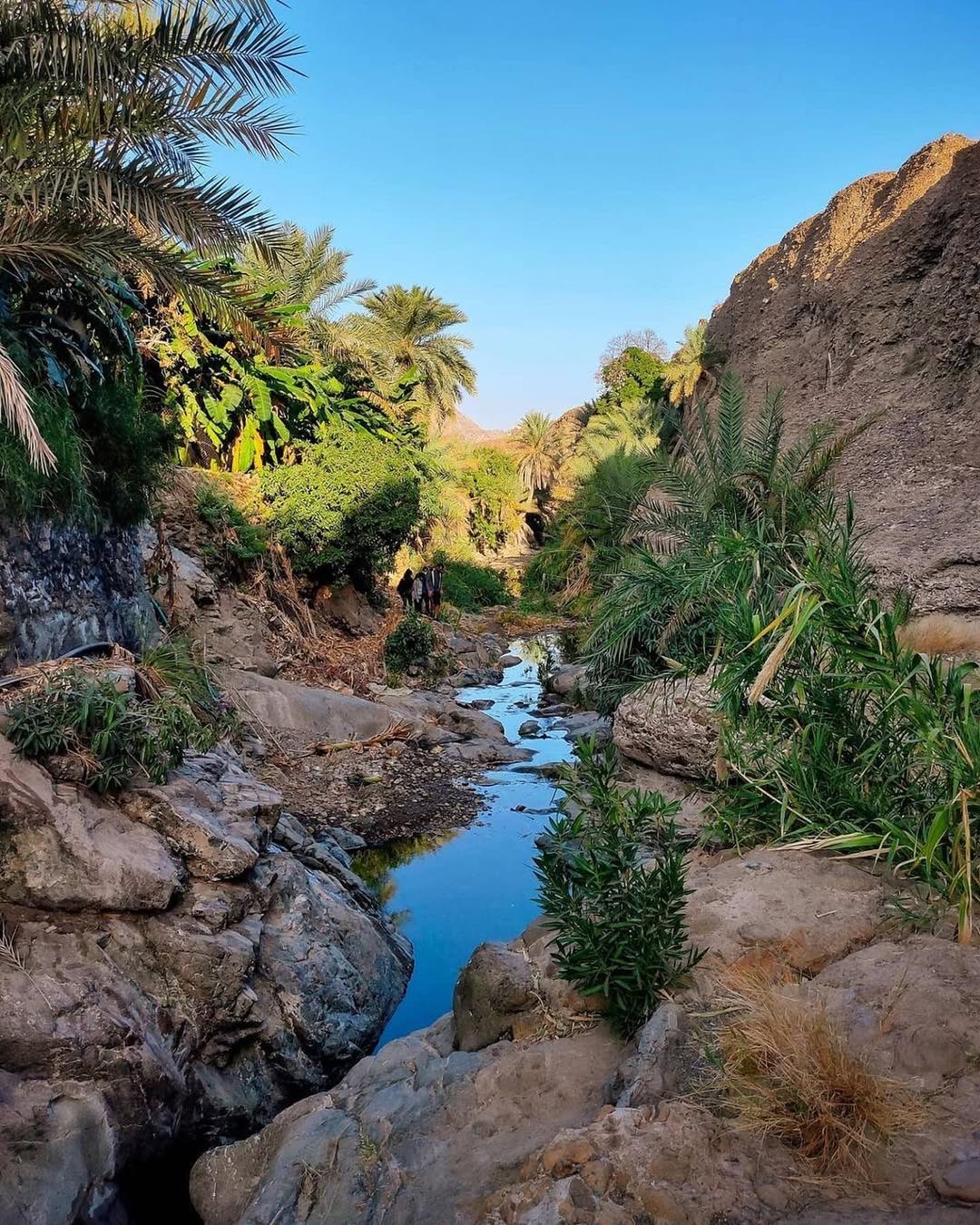 هايك وتخييم وادي العبادلة
