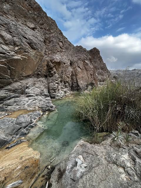 Wadi Al-Dhahir  - صورة 8