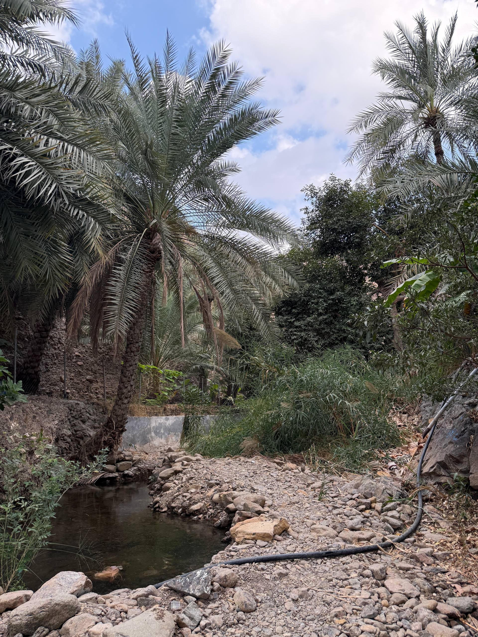 هايك وتخييم وادي العبادلة - صورة 4