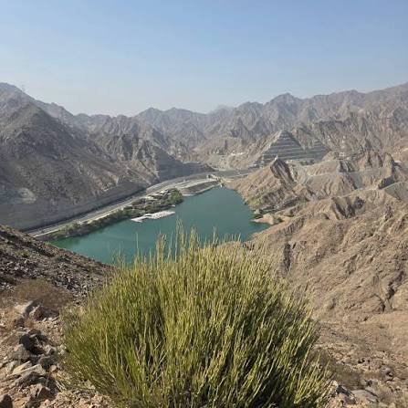 مسار بحيرة الحفية - صورة 6